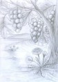 /album/fenykepgaleria/szolo-jpg1/