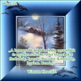 /album/csomor-urnapi-kormenet/szabadsag-jpg/