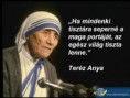 /album/csomor-urnapi-kormenet/terezanya-jpg/